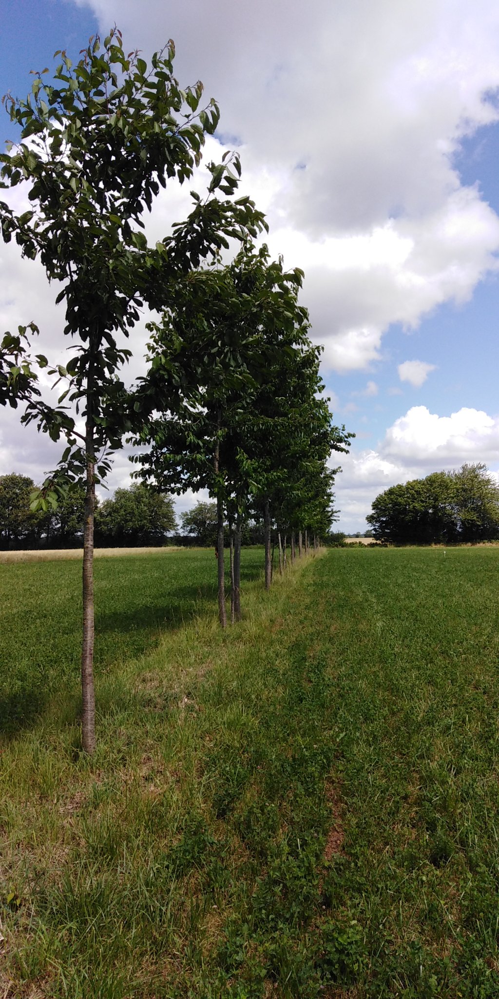 287018994 5561461890530784 1746932824430453913 n