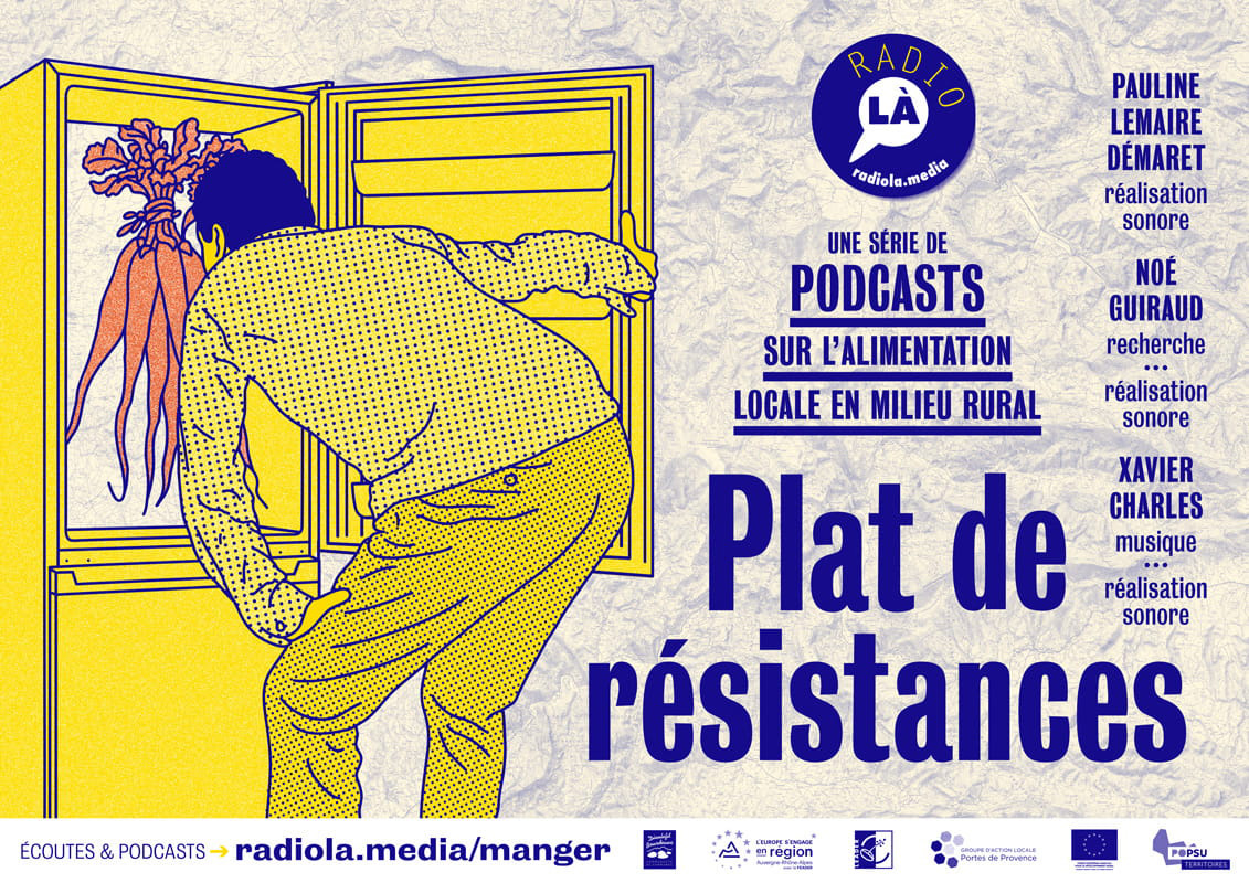 plat de resistances yannis frier web light