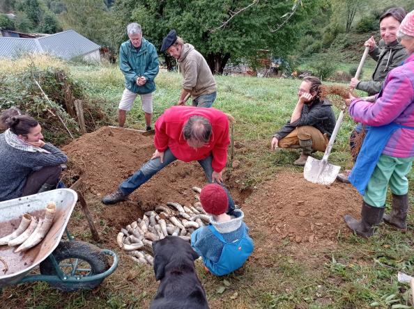 486499928 1249781083822720 1980162379602353994 n 1332 444