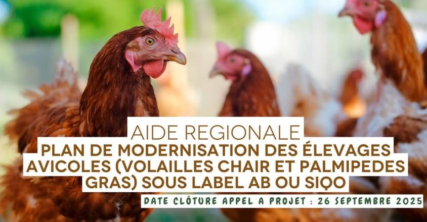 526964931 1193916086113993 76225653241355003 n