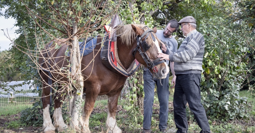 Traction animale Jean Christophe 2022 6138 copie