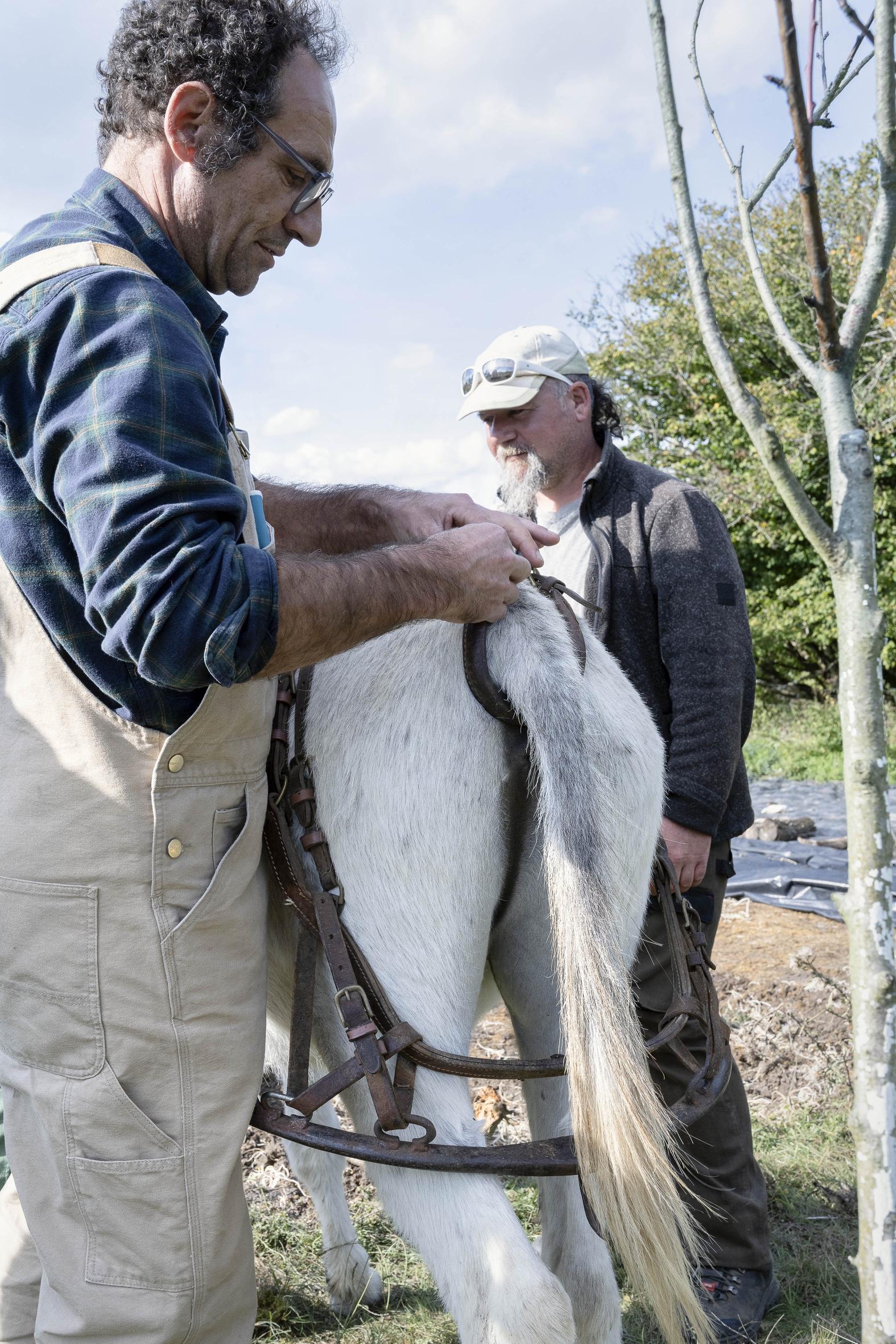 Traction animale Jean Luc 4868 2022 copie
