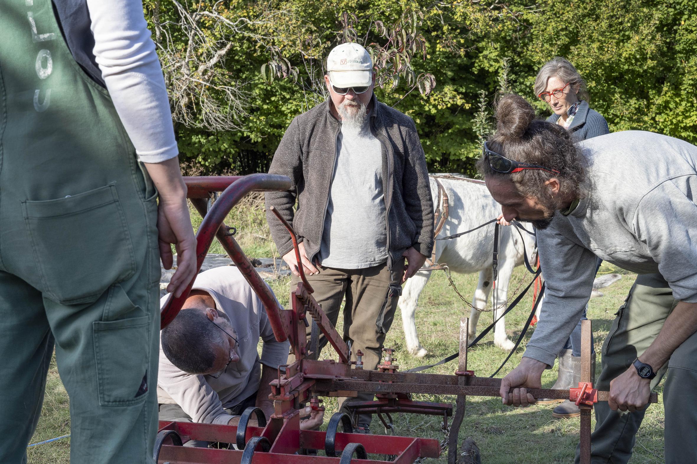 Traction animale Jean Luc 4891 2022 copie