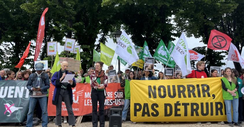 500158634 1109340974562303 5476482114492687128 n