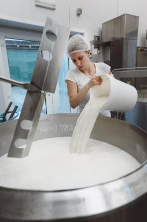 laiterie transfo 1332 444