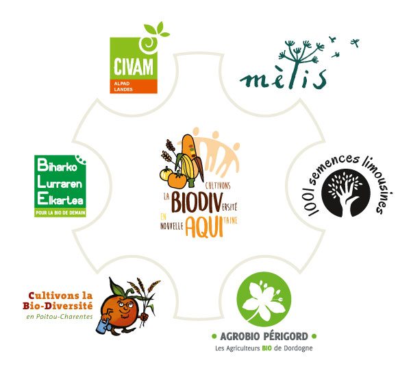 roue CBD NA RVB 012023