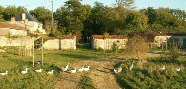 Photo de la ferme du mont d'or
