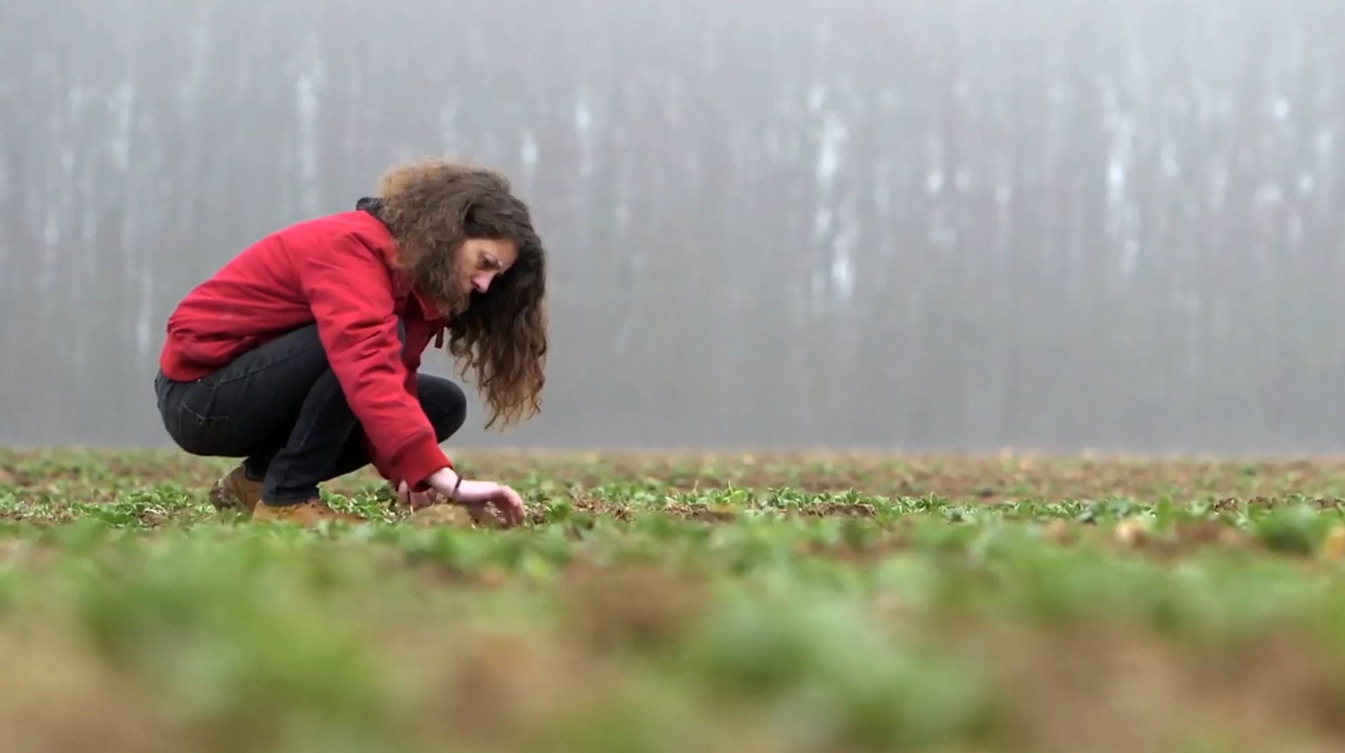 Voir la bande annonce