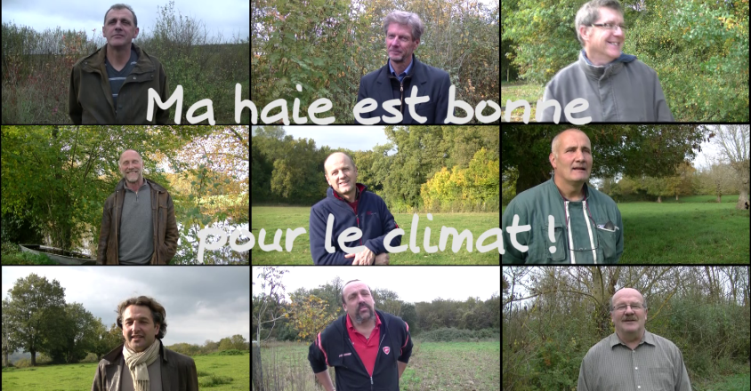 vlcsnap 2015 12 09 16h57m59s36