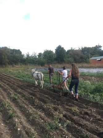 8FB988EF CE02 41F8 8C4E 82B17B31259A 1332 444