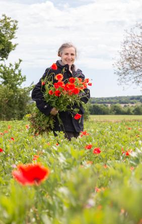 Coquelicots MG 4338 1332 444