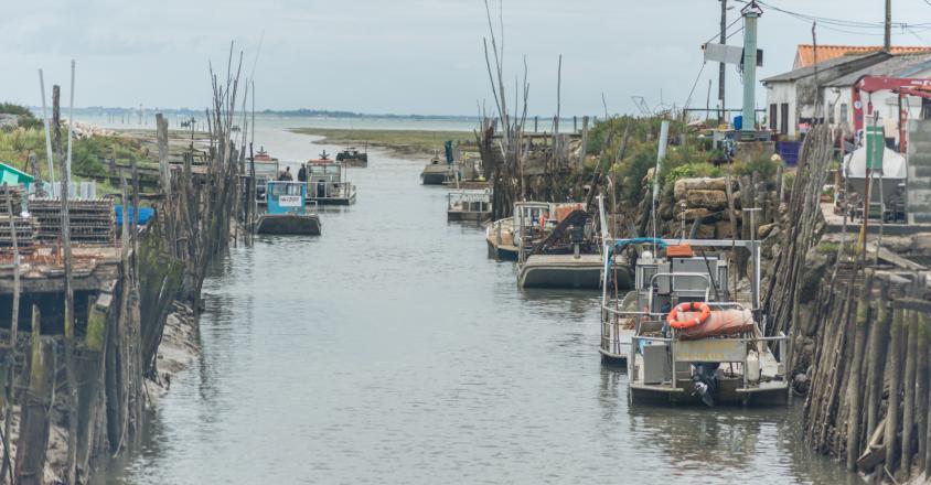 estuaire oléron