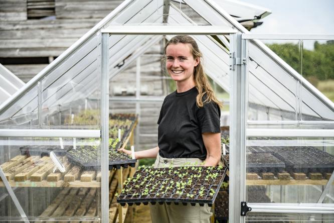 femmes plants 1332 444