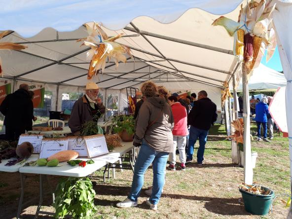 20240915 110427 1332 444