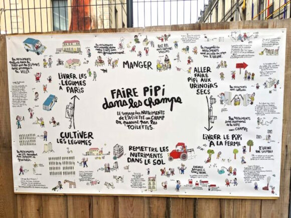 48991011361 3dbc8afa67 b 768x576 2 580x435