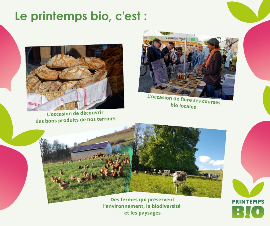 499932697 1135447591943962 164995443838924972 n