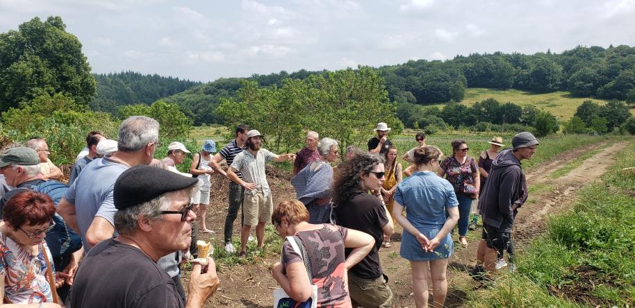 509407636 3890669264526293 1398482716354331940 n 1332 444