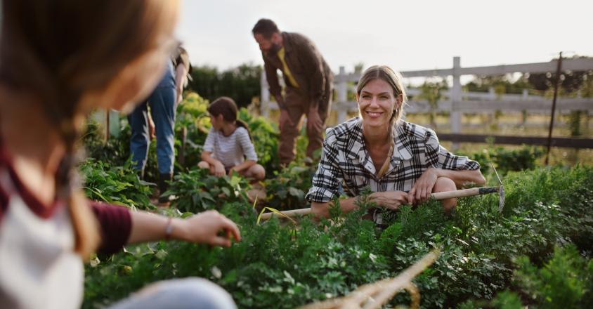 Des agriculteurs heureux travaillant en collectif