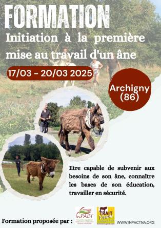 Initiation à la première mise au travail dun âne1 1332 444
