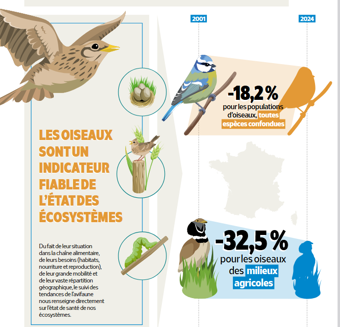 Capture décran 2026 02 27 132851