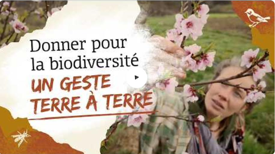 Capture décran 2026 04 17 160154