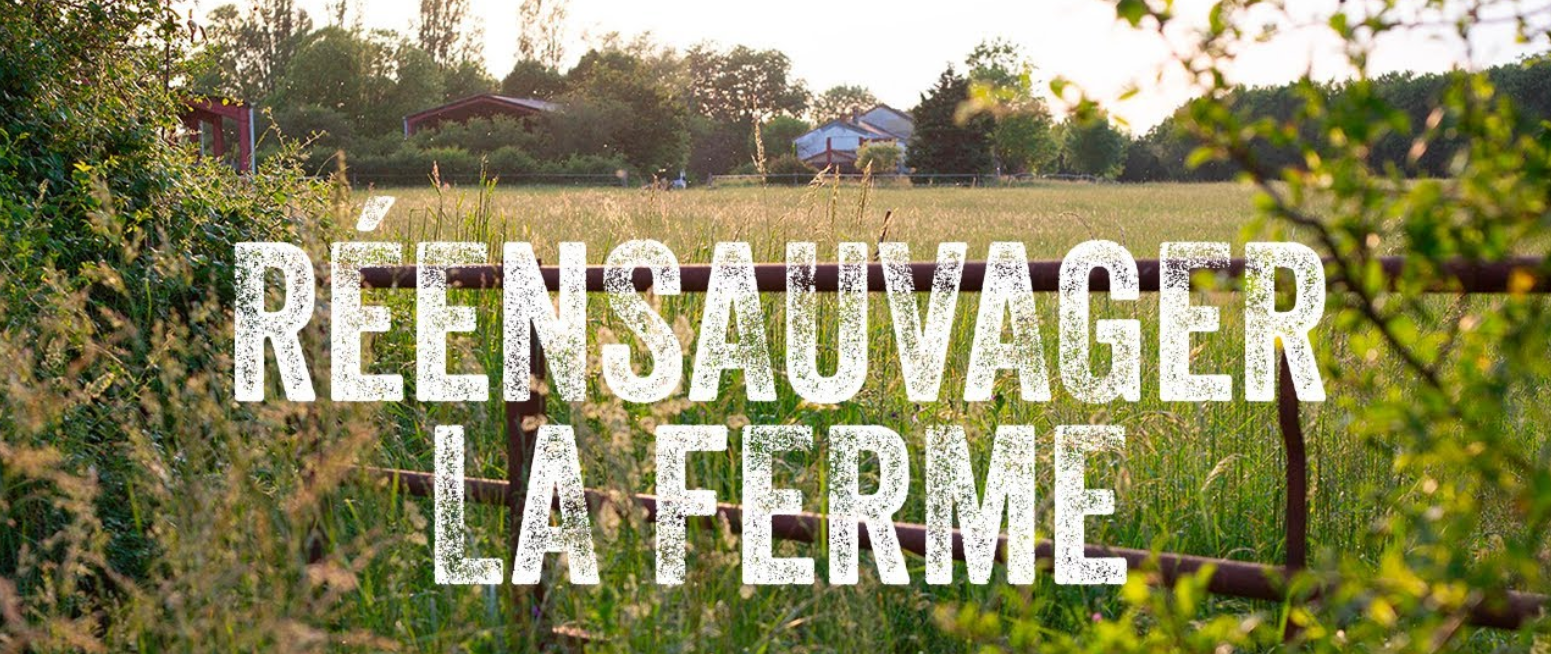 Capture décran 2026 04 17 165728