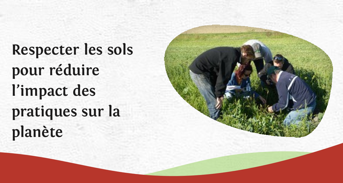Respecter les sols pour réduire l’impact des pratiques sur la planète ...